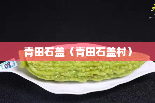 青田石蓋（青田石蓋村）