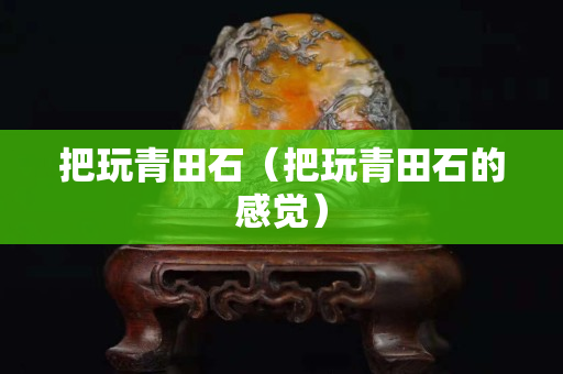 把玩青田石（把玩青田石的感覺）