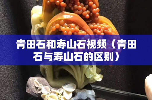 青田石和壽山石視頻（青田石與壽山石的區別）