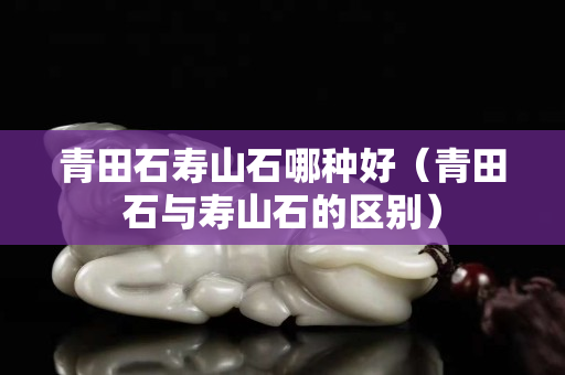 青田石壽山石哪種好（青田石與壽山石的區別）