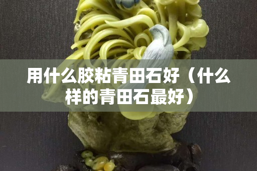 用什么膠粘青田石好（什么樣的青田石最好）