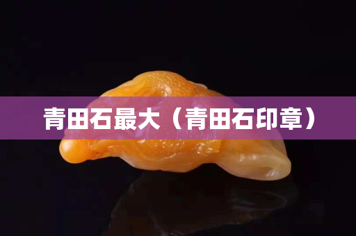 青田石最大（青田石印章）