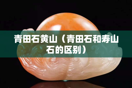 青田石黃山（青田石和壽山石的區(qū)別）