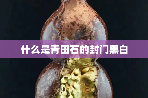 什么是青田石的封門黑白