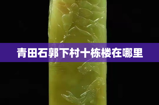 青田石郭下村十棟樓在哪里
