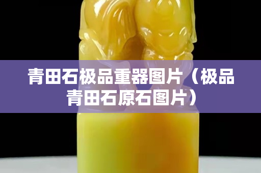 青田石極品重器圖片（極品青田石原石圖片）