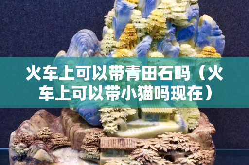 火車上可以帶青田石嗎（火車上可以帶小貓嗎現在）