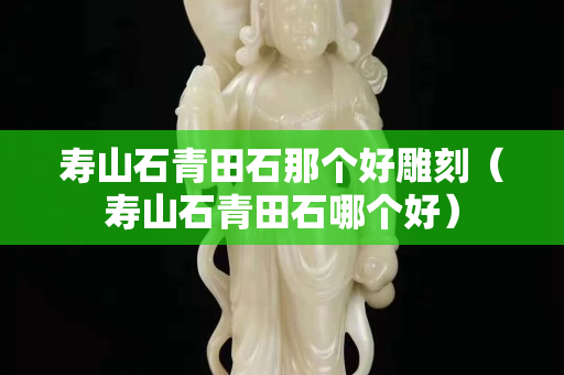 壽山石青田石那個好雕刻（壽山石青田石哪個好）