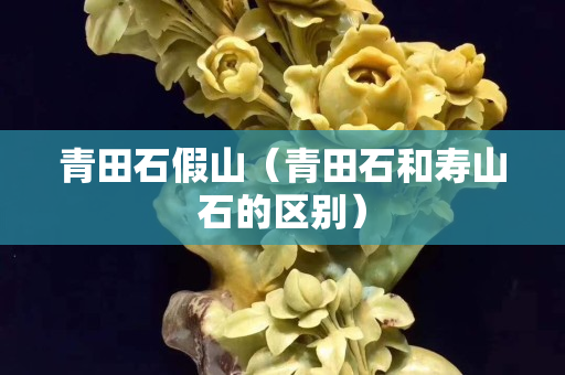 青田石假山（青田石和壽山石的區別）