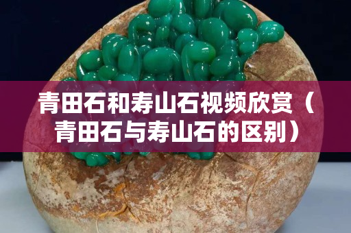 青田石和壽山石視頻欣賞（青田石與壽山石的區別）