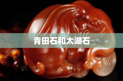 青田石和太湖石