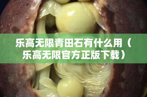 樂高無限青田石有什么用（樂高無限官方正版下載）