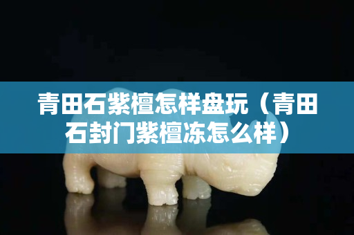 青田石紫檀怎樣盤玩（青田石封門紫檀凍怎么樣）