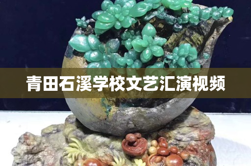 青田石溪學(xué)校文藝匯演視頻