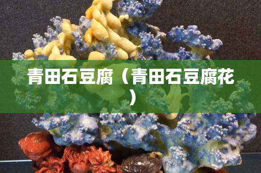 青田石豆腐（青田石豆腐花）