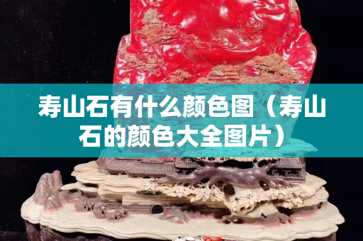 壽山石有什么顏色圖（壽山石的顏色大全圖片）