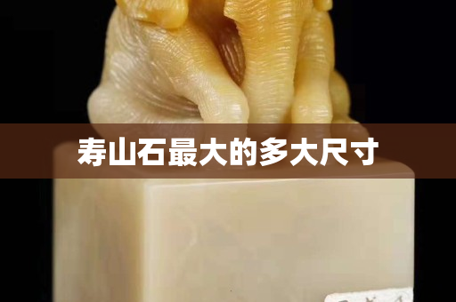壽山石最大的多大尺寸