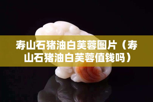 壽山石豬油白芙蓉圖片（壽山石豬油白芙蓉值錢嗎）