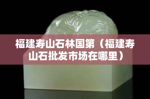 福建壽山石林國(guó)第（福建壽山石批發(fā)市場(chǎng)在哪里）