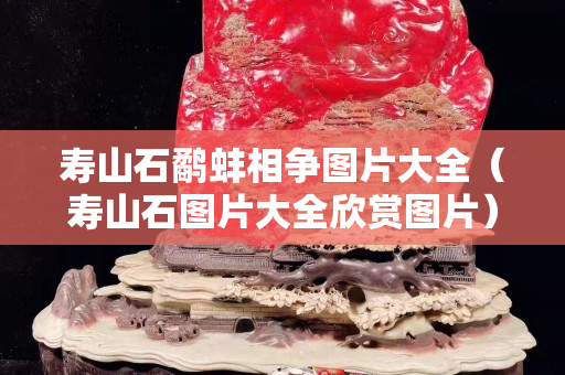 壽山石鷸蚌相爭圖片大全（壽山石圖片大全欣賞圖片）