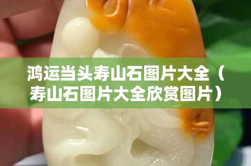 鴻運當(dāng)頭壽山石圖片大全（壽山石圖片大全欣賞圖片）