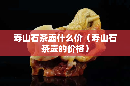 壽山石茶壺什么價（壽山石茶壺的價格）