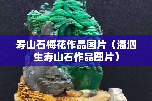 壽山石梅花作品圖片（潘泗生壽山石作品圖片）