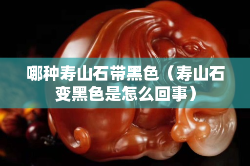 哪種壽山石帶黑色（壽山石變黑色是怎么回事）