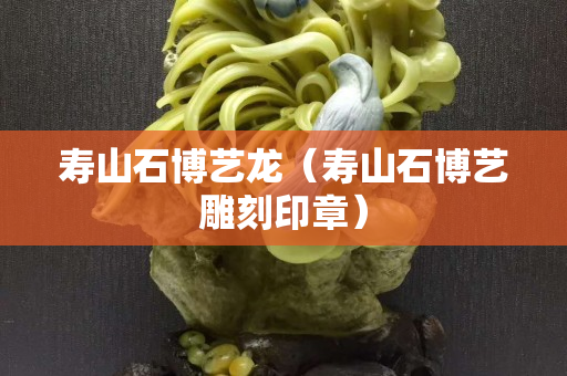 壽山石博藝龍（壽山石博藝雕刻印章）