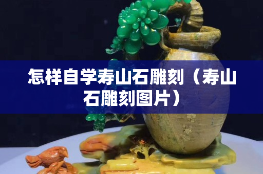 怎樣自學壽山石雕刻（壽山石雕刻圖片）