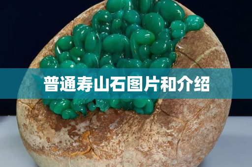 普通壽山石圖片和介紹