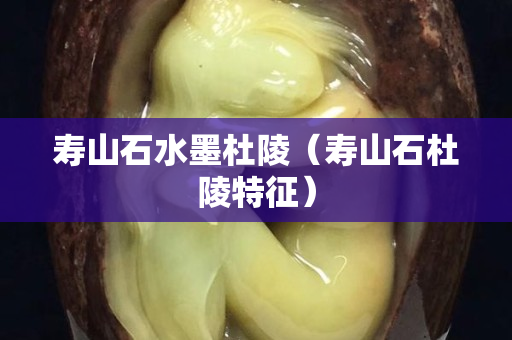 壽山石水墨杜陵（壽山石杜陵特征）