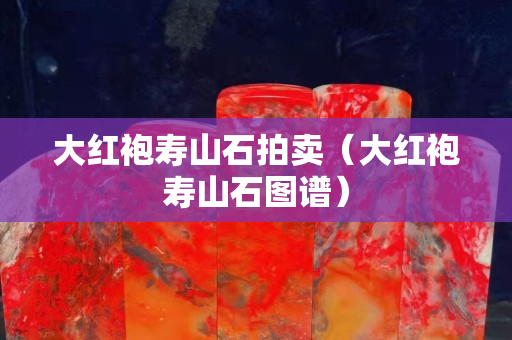 大紅袍壽山石拍賣（大紅袍壽山石圖譜）