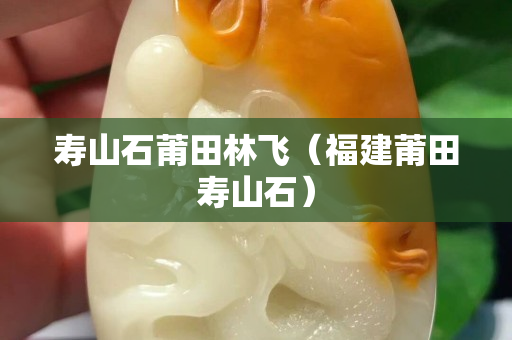 壽山石莆田林飛（福建莆田壽山石）