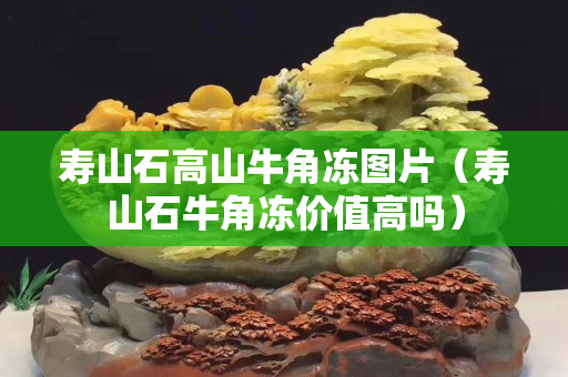 壽山石高山牛角凍圖片（壽山石牛角凍價值高嗎）