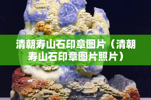 清朝壽山石印章圖片（清朝壽山石印章圖片照片）