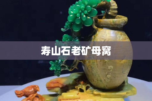 壽山石老礦母窩