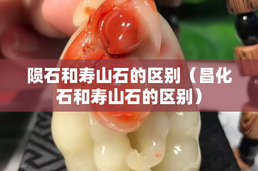隕石和壽山石的區(qū)別（昌化石和壽山石的區(qū)別）