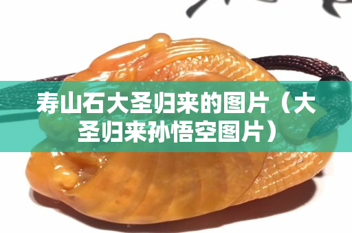 壽山石大圣歸來的圖片（大圣歸來孫悟空圖片）