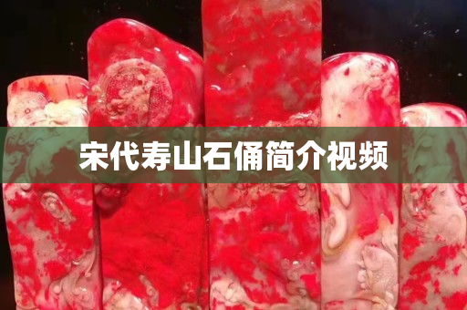 宋代壽山石俑簡介視頻