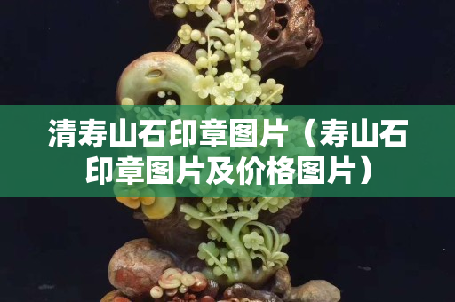 清壽山石印章圖片（壽山石印章圖片及價格圖片）