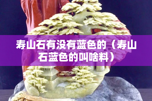 壽山石有沒(méi)有藍(lán)色的（壽山石藍(lán)色的叫啥料）