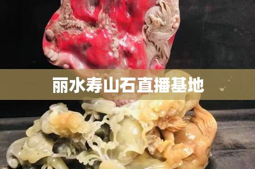 麗水壽山石直播基地