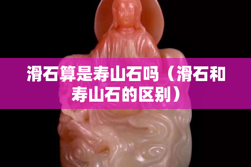 滑石算是壽山石嗎（滑石和壽山石的區別）