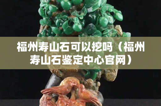 福州壽山石可以挖嗎（福州壽山石鑒定中心官網(wǎng)）
