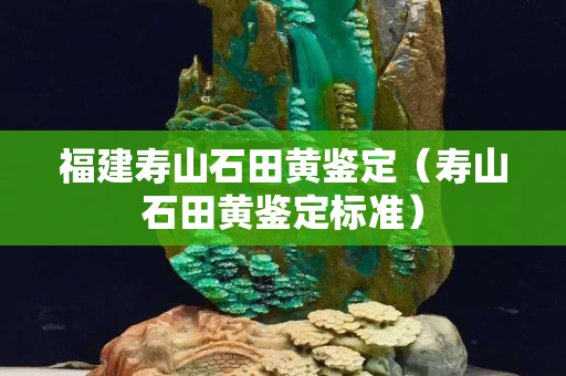 福建壽山石田黃鑒定（壽山石田黃鑒定標準）