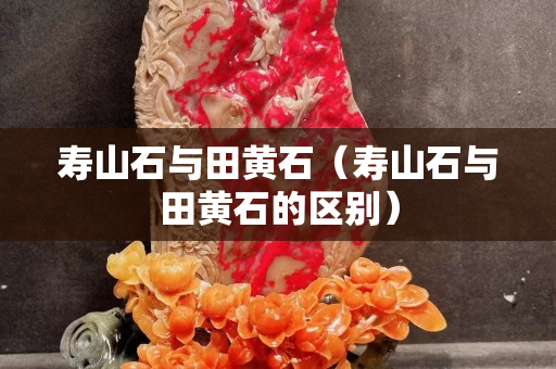 壽山石與田黃石（壽山石與田黃石的區別）