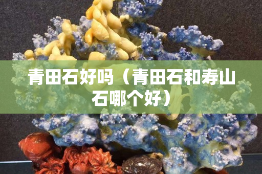 青田石好嗎（青田石和壽山石哪個好）