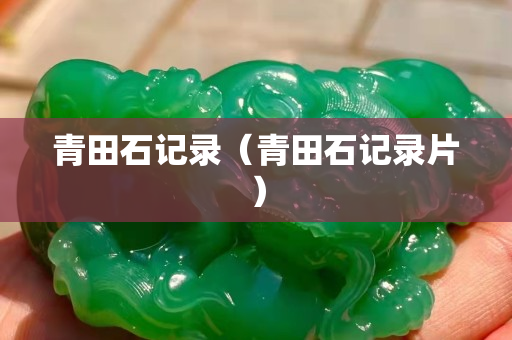 青田石記錄（青田石記錄片）