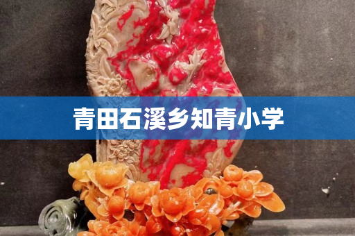 青田石溪鄉(xiāng)知青小學(xué)